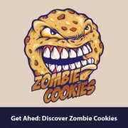Get ahead: Discover Zombie Cookies