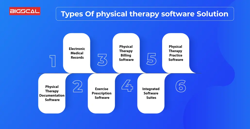 Types Of physical therapy software Solution