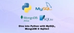 Dive into Python with MySQL, MongoDB & Sqlite3