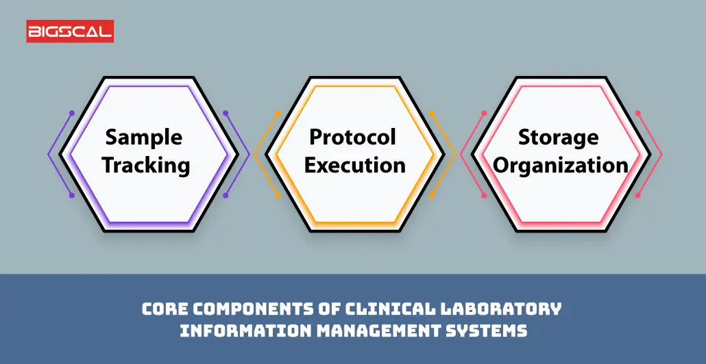 Core components of Clinical laboratory information management systems