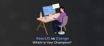 ReactJS vs Django: Which is your champion?