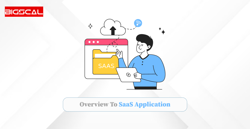 Overview To SaaS Application