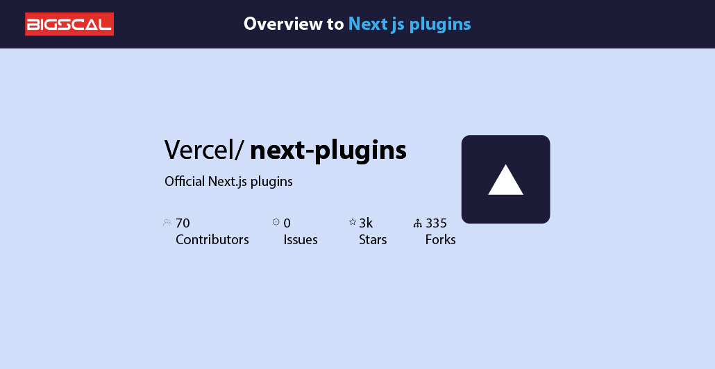 Overview to Next JS plugins