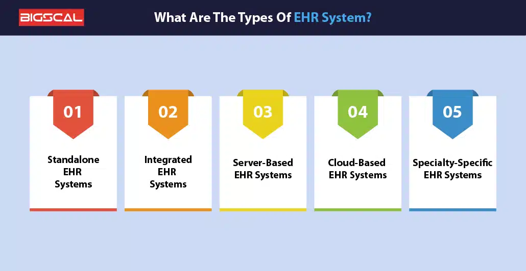 What Are The Types Of EHR System