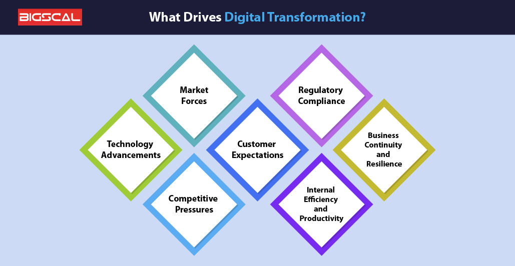 What Drives Digital Transformation