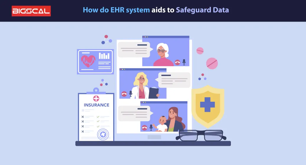 How do EHR system aids to Safeguard Data