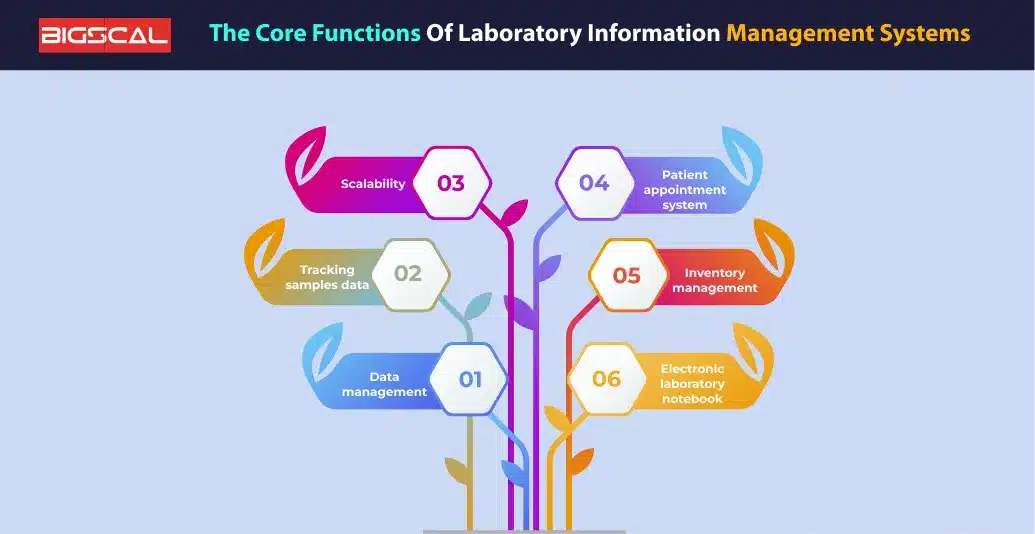 The Core Functions of Laboratory Information Management Systems