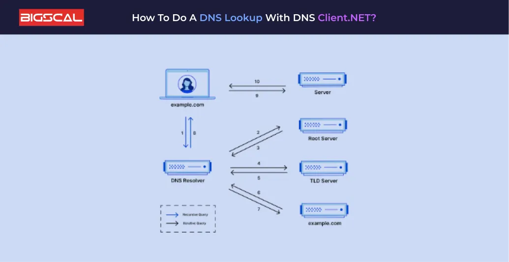 How to Do a DNS Lookup with DNS Client.NET_